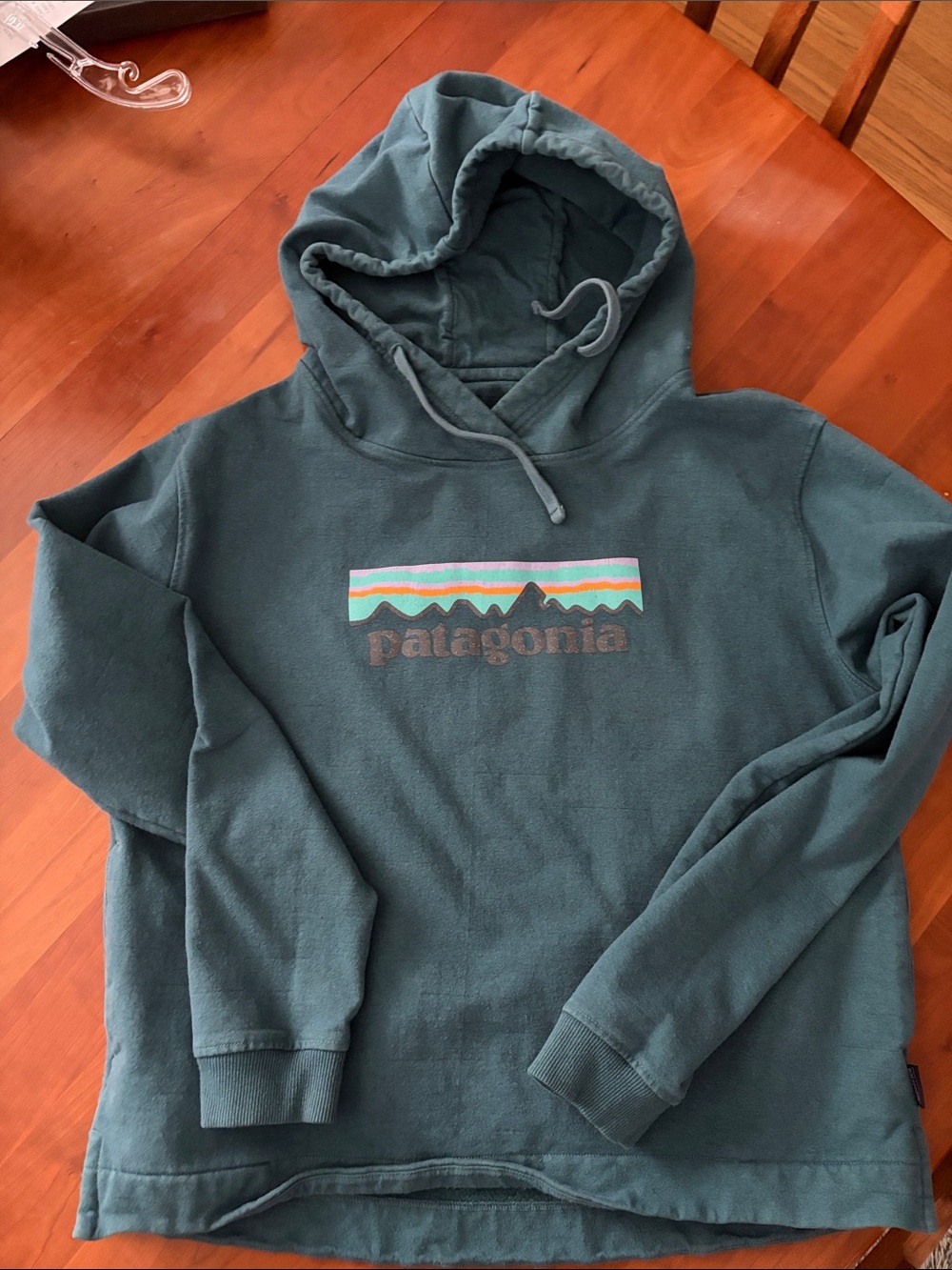 Patagonia women’s Dark Teal Crewneck Hoodie with Mountain Logo